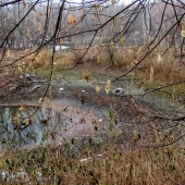 8d2b01f1d2c99bf3d5f3b8dbc98cc352