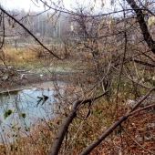 90c0f7d375e41f21af4b10c595ba7df6