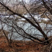 9e9760ac64b3c9f601846d0fdc7c14b5