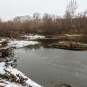 c040f3358a19b4e94cdb37dff2873c68