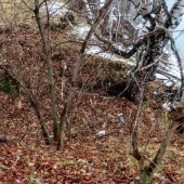 db9a63df2d55f7a05d760094bf6622a2