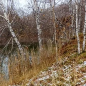 e45983897e1e882bff2f9b74ec8174f1