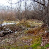 e63468fd5a807accbb513f35eea5541e