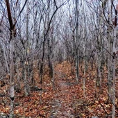 f5a03e654f870eaeb804a3c337b2c3f7