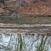 fa72ab6a5beac14e242ec319541fddc6