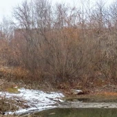 ff48824a53c95914f8c0423a3d7f2f91