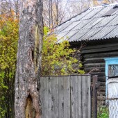 06d61f645c87d13b5ac1749b3ad7b61a