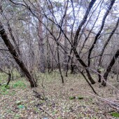 08cb9249f673fd7fc2ea0f25d0074579