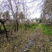 0fae45fc8b70d71c9dad0a16fe18dce4