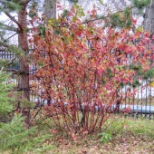 1902b860a0e9bb22431c4c84b9dd19ec