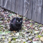 3e49c5175b558ea14bb1380ad18a0b5d