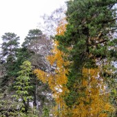 49728f608b238c000ee9ee374120612d