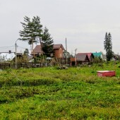 49ec829077b86a065bd9ae8bfa098b74