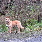 4ea6b3eaf4458949e5db5dbb3d4fca54