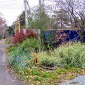 51d91454033d7fe278f2e590e9937ca2