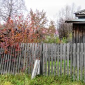 69de732c1c6a01e88ade0c583d5eb2e8