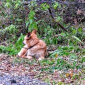 9da98d163f1a538e038903ca8ef17931