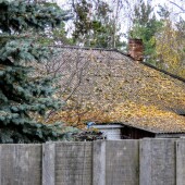 b022b157169dfadace5c9458aa143768