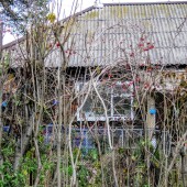 b58fd08d6e2ec8d86dc8ef8a0df252b9