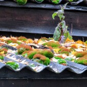 c65c8e85211fcb256b4dff75b668eb40