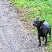 ea527659a76caaf734c05fa10c715077