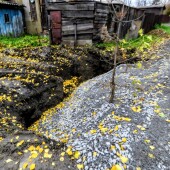 fbee89f6b3c731067fc41923eb298017