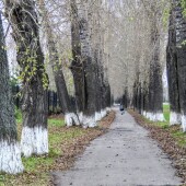 fc1d168d85fa6782f0262373fbd7e7a8