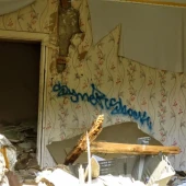 076c7d96341a8492306f99389e1f35f1