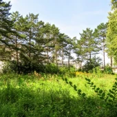 58facd47f5ff4d8aaa764d4087e7e47a