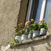 68f091d81321404a53d69ecd24ae6f45