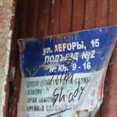 97e8fcfed3639d5d134166d303dbbd55