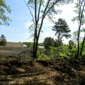 a524516e905f33403895aa14c494a370