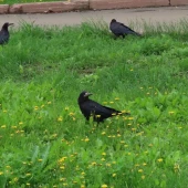 b5e6a34f24dde3a25daf7354558d409a