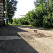 bced53ec020f722ea2f2c05cfafaec00