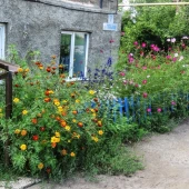 db5b63ea84e92260a402cf59443f63ac