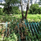 e3ebb31f39819c8a4a8121721fc785d1