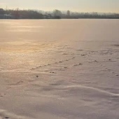 21108a1562ed1d966cce68b76bcb6fd6