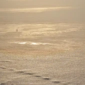 8c2104ae9b4d3688ba53794f86ef0192