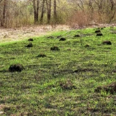 8fee51e7042a8fc38674c32213a60b47