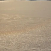 9c7038a0da95f65402534d9bae77844e