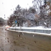 f10105c24f1b15159769c372e63d4734