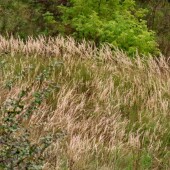 01bba94a677d6c95cd457a28627ab82e