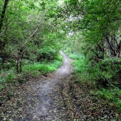 09ff7b92599e7e579aa3ce22ad94003a