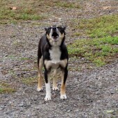 0e0ec2e6524dc3451dc8dca39a09aa42