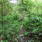 105f1c867c8e6a92a0dc176375425e24