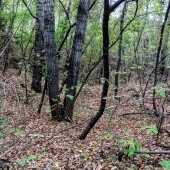 18a02324addae78f3edeb28bd320c09a