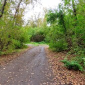 1ab3d2eb56694b602419b8a51c01729e