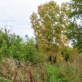 1d6201f8eda5d9bc79641dacb31edeaf