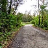 221c574ae8eda6731f8a32b83245ad04