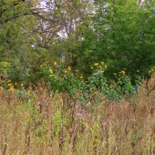 3d401d33a8102e2dae495f344e286562